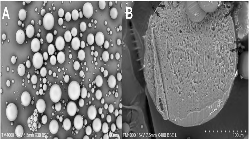 Evaluation of Release of Donepezil Bilayer Microspheresin Vivo by LC-MSMS